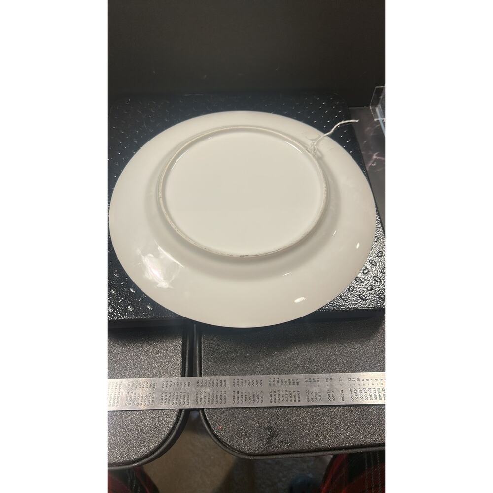 Cardinal Plate - Picture 3 of 3